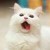 Xiaoming