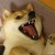 UnderDoge
